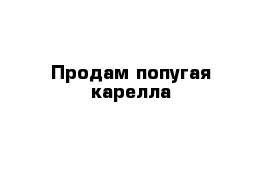 Продам попугая карелла